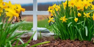 cremation services in or near Grand Blanc MI