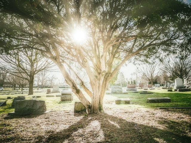 cremation services Burton, MI