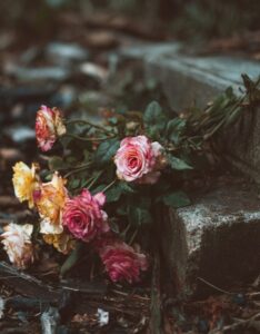 Cremation services Burton, MI