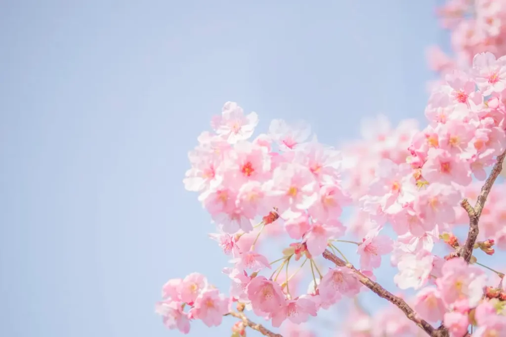cremation services Burton MI