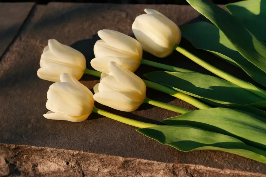 cremation services Burton MI