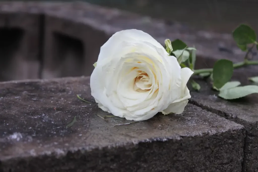 cremation services Burton MI