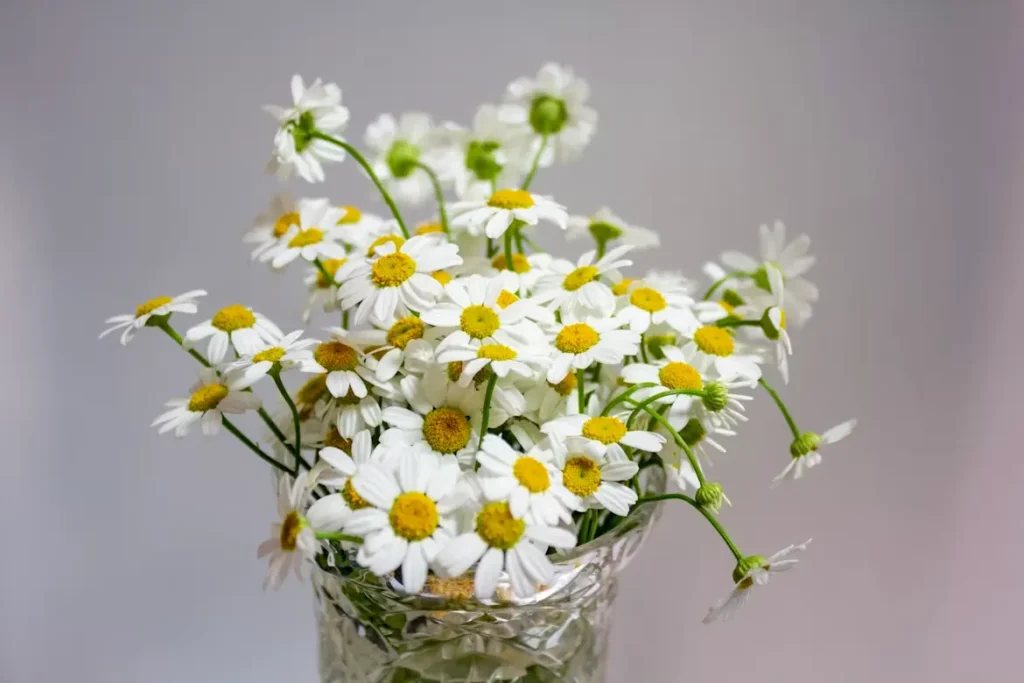 cremation services Grand Blanc MI